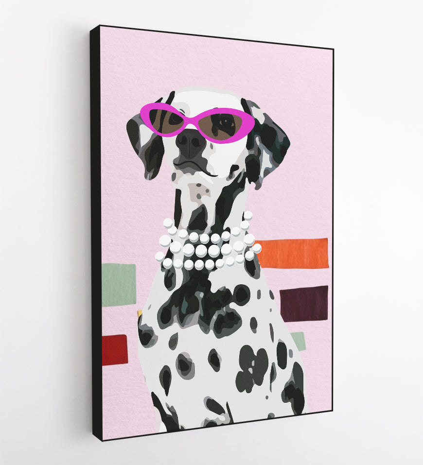 Stylish Dalmatian Dog