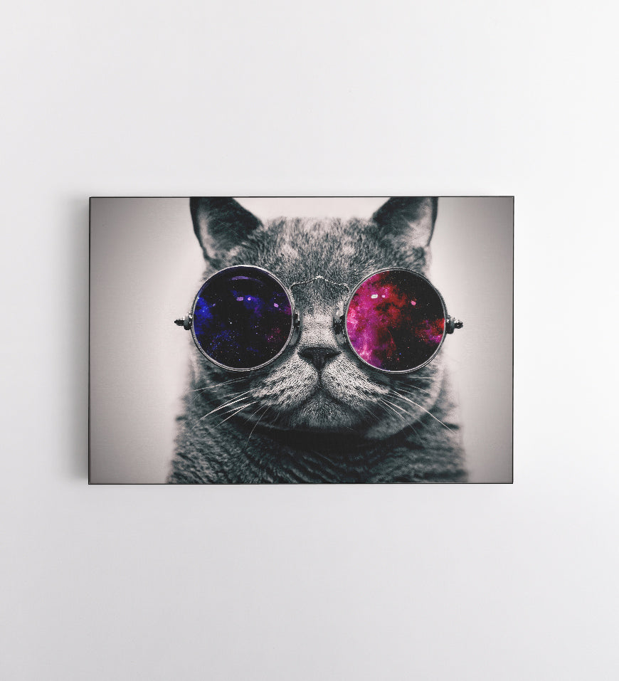 Cat Glasses Space