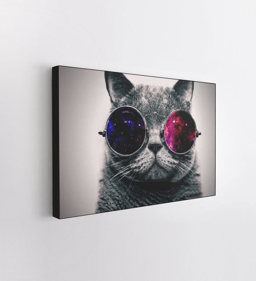 Cat Glasses Space