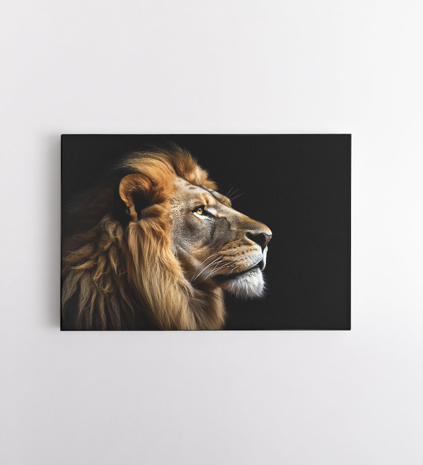 Portrait Lion