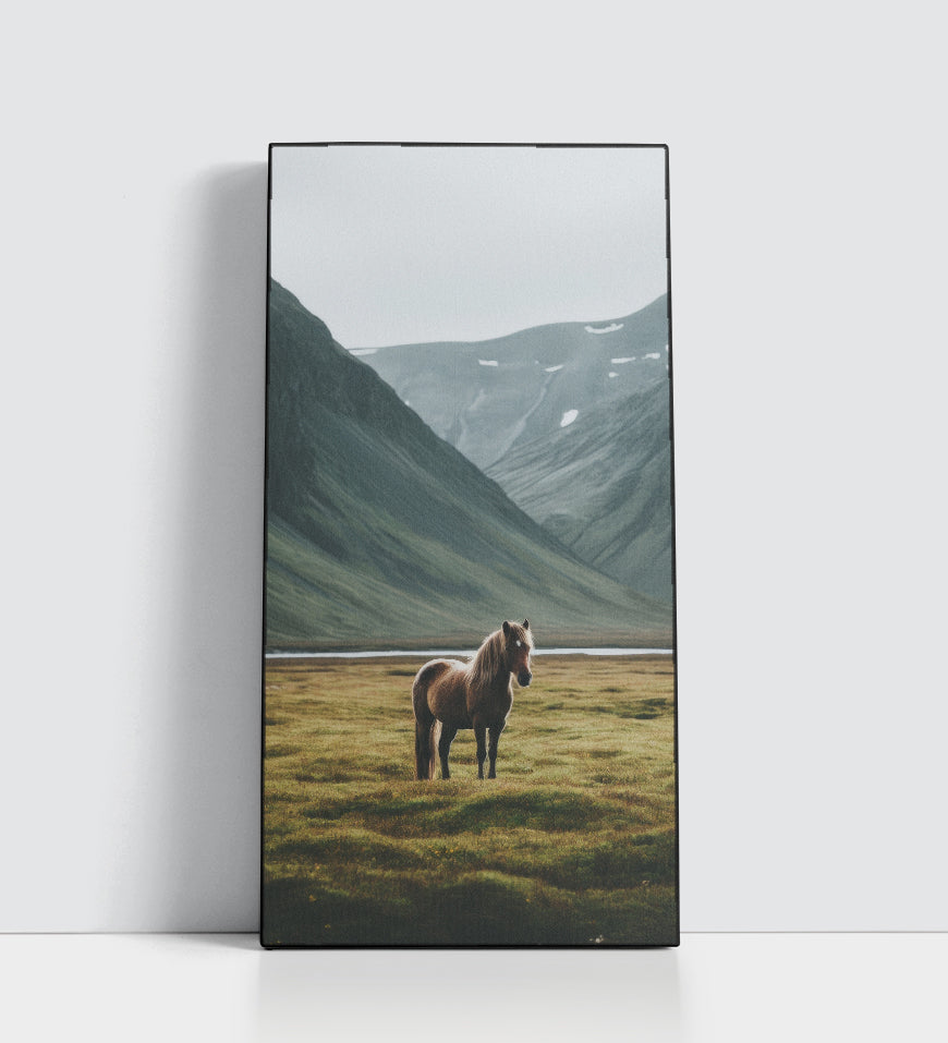 Horse Landscape Grazing Field