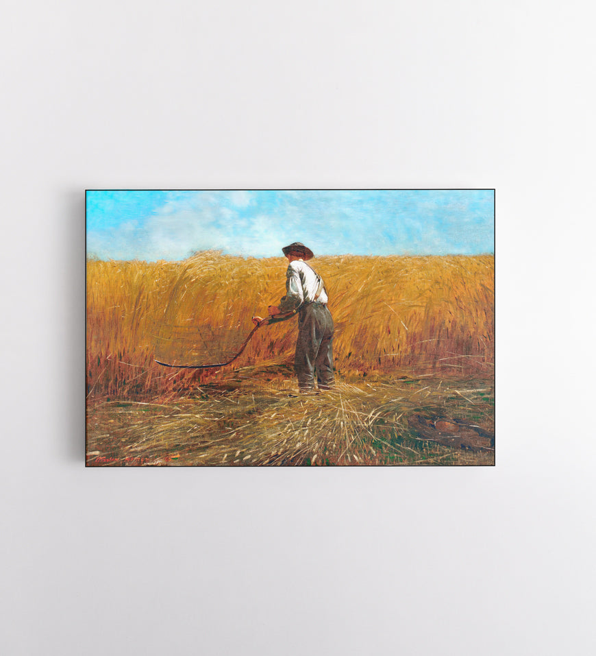 Farmer Doing Harvest